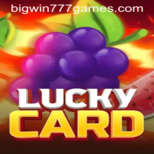 Exploring the World of LuckyCard and Bigwin777